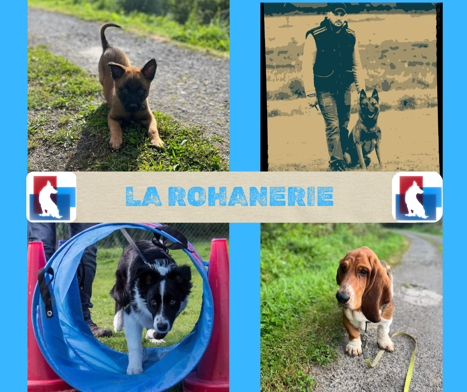 La rohanerie publication facebook 